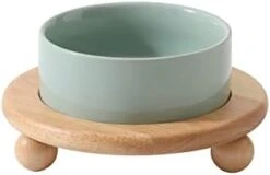 Havniva Ceramic Elevated Cat Food And Water Bowl , Kitty Bowl , Raised Cat Dish , Cat Feeder (2 X Cream White + Stand) -Zoo Shop 21nCXjUashL. AC