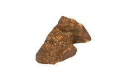 Wildfang® | Chewing Root Made From Tree Heather For Dogs, Dental Care & Masticatory Muscle Training, Natural Chew Toy…… -Zoo Shop 312744EvimS