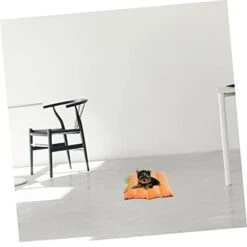 Balacoo Mat Warm Decorative Puppy Crate Soft Household Mattress Cave Pets Sleeping Pad Dogs Pumpkin Nest Mats House Thermal For Warming Creative Cushion Cat Bed Warmth Pet Small Home And -Zoo Shop 3176AvNi58L