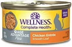 Wellness Complete Health Seafood Pate Favorites Variety Pack, 3 Ounces (Pack Of 24) -Zoo Shop 3178FeMcB1L. AC