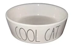 Rae Dunn COOL CAT Cat Pet Bowl - 4.5 Inches - Ceramic