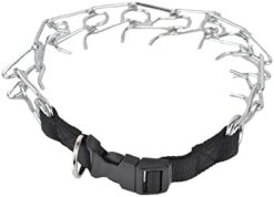 Downtown Pet Supply Chrome Plated Prong Collar For Dogs, Large - Adjustable, No-Choke And No Pull Dog Collar With Removable Links - Pinch Collar For Dogs Over 50 Lbs And 22" Neck Width -Zoo Shop 3197ilfGz0L. AC