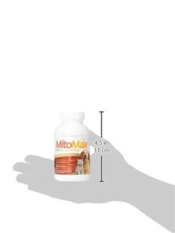 Imagilin Technology, LLC MitoMax-Premium Probiotics For Dogs And Cats, 100 Capsules Per Bottle -Zoo Shop 319IYQKUcsL