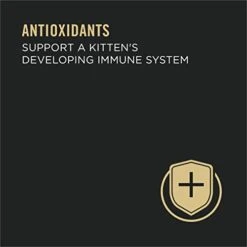 Purina Pro Plan Grain Free Pate Wet Kitten Food, Chicken Entree - (24) 3 Oz. Pull-Top Cans -Zoo Shop 31Ay2uXxsmL