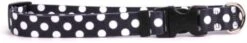 Yellow Dog Design Licorice Polka Dot Dog Collar 1" Wide And Fits Neck 18 To 28", Large -Zoo Shop 31BgjTXQgaL. AC