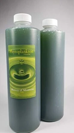 Live Marine Phytoplankton, Tetraselmis, (x2) 16oz. Bottles