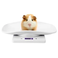 MOUMOUTEN 1G~10 Kg Digital Electronic Scale, ABS White Black Light Display Electronic Weight Scale Digital Scale For Puppy Cat Rabbit Tortoise Piglet Animals -Zoo Shop 31DFgGkBaML