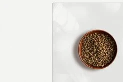 ExactMade - Clear Pet Bowl Mat, USA Made, Safe, Waterproof, 12 X 21 Inch, 2mm Thick Smooth Vinyl, Clear Dog Mat, Clear Pet Floor Protection, Clear Cage Mat, Clear Mat For Under Fish Tank -Zoo Shop 31Ge8mpIGxL. AC 4