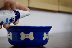 Align - All Natural Liquid Supplement For Good Spinal Health - Apply To Body, Food & Water For Fastest Results (Spray, 2 Ounce) -Zoo Shop 31Gy7iBIhGL 1