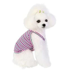 Striped Dog Shirt Rainbow Color Pet Clothes For Small Medium Dogs Shirt Puppy Pet Clothing For Dogs Vest A4 M -Zoo Shop 31IJ97xG1iS