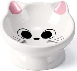 Raised Cat Food Bowl Ceramic 15° Tilted Cat Food Bowls Protect Cat's Spine Anti Vomiting Backflow Prevention Cat Bowls For Adult Cats, Kitten, And Small Dogs, Pink -Zoo Shop 31IMJapP6FL. AC