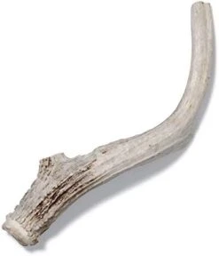 Antler Dog Chew From Pet Expertise, Gigantic 12-14" Long, 1 Piece 24 Antler Dog Chew From Pet Expertise, Gigantic 12-14" Long, 1 Piece -Zoo Shop 31KXBlIzYmL. AC