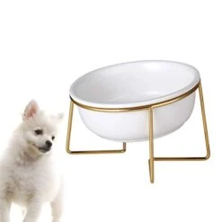 VILLCASE Ceramic Cat Bowl High Feet Pet Feeding Bowl Slant Pet Food Dish Ceramic Pet Eating Bowl Cervical Spine Care Pet Feeding Container For Pet Cat Dog Use (White With Rack) Ceramic Tools -Zoo Shop 31MisjYnG3L