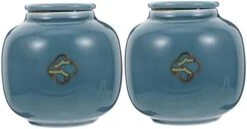 HOMSFOU 5 Pcs Urn Tea Decoration Storage Containers Small Storage Container Round Container With Lid Small Ceramics Urn Pet Memorial Pet Cremation Urns Ceramics Blue Cat Ash Urn Mini -Zoo Shop 31OMoY15UlL. AC