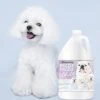 The Blissful Dog Razzle Dazzle White Shampoo, 1 Gallon