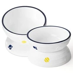 Hasense Tilted Cat Bowl Anti Vomiting, Double Raised Cat Bowls For Food And Water, Elevated Ceramic Small Dog Feeder, Protect Pet's Spine, Dishwasher Safe, Porcelain Slanted Dishes, White Set Of 2