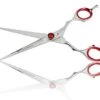 6.5 Inch Pets Grooming Scissors, Professional Dog Hair Cutting Scissors Perfect Size Free Storage Case (6.5" Red Jewel Scissors) -Zoo Shop 31QjtkqQQvL