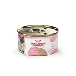 Royal Canin Feline Health Nutrition Mother & Babycat Ultra Soft Mousse In Sauce Canned Cat Food, 3 Oz Can