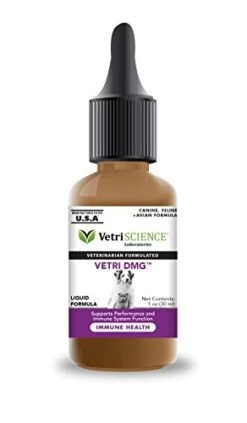 VETRISCIENCE Vetri DMG Liquid, 30mL Dropper - Supports Immune System, Stamina, Skin Irritation, Watery Eyes, And Performance For Dogs And Cats