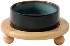 Havniva Ceramic Elevated Cat Food And Water Bowl , Kitty Bowl , Raised Cat Dish , Cat Feeder (2 X Cream White + Stand) -Zoo Shop 31Tsdc29e9L. AC