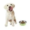 POPETPOP Dog Cat Feeding Dish Puppy Feeder Dog Food Bowl - Stainless Steel Bowl Feeding Bowl - Round Anti- Water&Food Dispencer For Puppy Cat And Kitten Puzzle Metal Dog Food Feeder -Zoo Shop 31TyF1cgHNL