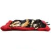 Portable Travel Dog Mat Outdoor Dog Bed Waterproof Camping Pet Pad With Carry Handle Large Dog Bed (X-Large,Red) -Zoo Shop 31U4SBEe0VL
