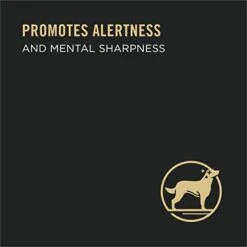 Purina Pro Plan Senior Dog Food Wet Gravy, BRIGHT MIND 7+ Turkey And Brown Rice Entree - (8) 10 Oz. Tubs -Zoo Shop 31ZBCoGh83L