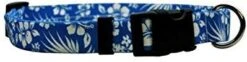 Yellow Dog Design Pineapples Blue Dog Collar, Large-1" Wide Fits Neck Sizes 18 To 28", (PNBL106) -Zoo Shop 31ZZE8CRgLL. AC