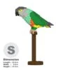 JEKCA Senegal Parrot 01S -Zoo Shop 31asPdDQr1L