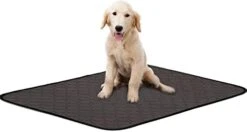 Large Pee Pads For Dog (2-Pack) Washable Puppy Wee Wee Pad Waterproof Potty Training Eco-Friendly Whelping Pet Urine Mats -Zoo Shop 31bpYRoxMAL. AC