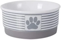 Bone Dry Lattice Pet Bowl, Removable Silicone Ring Creates Non-Slip Bottom For Secure Feeding & Less Mess, Microwave & Dishwasher Safe, Medium Set, 6x2", Gray, 2 Count -Zoo Shop 31c7UUsvV7L. AC