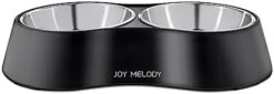 Joy Melody Cat Food And Water Bowl Set With Stand, Anti Vomiting Non Slip Dish For Small Dog, Stainless Steel Elevated Rabbit Feeder, Dishwasher Safe, Whisker Fatigue -Zoo Shop 31cGEXnUlyL. AC