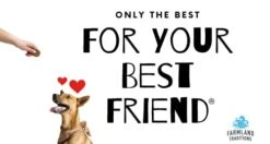 Farmland Traditions Dogs Love Chicken Premium Two Ingredients Jerky Treats For Dogs (3 Lbs USA Raised Chicken) -Zoo Shop 31d5YCFKHLL