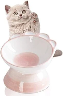 Jemirry Ceramic Raised Cat Bowl Anti Vomiting, Elevated Cat Bowls With 15° Tilt Angle, Non-Slip Food And Water Bowls For Cat And Dog, Protect Pet's Spine, Dishwasher Safe (Pink) 24 Jemirry Ceramic Raised Cat Bowl Anti Vomiting, Elevated Cat Bowls With 15° Tilt Angle, Non-Slip Food And Water Bowls For Cat And Dog, Protect Pet's Spine, Dishwasher Safe (Pink) -Zoo Shop 31g9EOP5sTL. AC