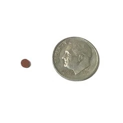 BIG KAHUNA TROPICAL FISH 3 Mm Red Sinking Wafer - Sinking Algae Wafers That Provides Balanced Diet For Plecos, Snails, Cory Cats, Catfish, Shrimp, And Crayfish (2 Pound) -Zoo Shop 31h9v4O93lL