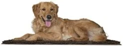 Furhaven 60" X 48" Highly Absorbent Dog Door Mat For Muddy Paws, 100% Washable, Perfect For Entryway, Kitchen, & Bathroom Use - Chenille Shammy Rug - Charcoal (Gray), Jumbo Plus/XXXL -Zoo Shop 31itreaKgAL. AC