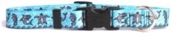 Yellow Dog Design Pineapples Blue Dog Collar, Large-1" Wide Fits Neck Sizes 18 To 28", (PNBL106) -Zoo Shop 31oyxOHCDkL. AC