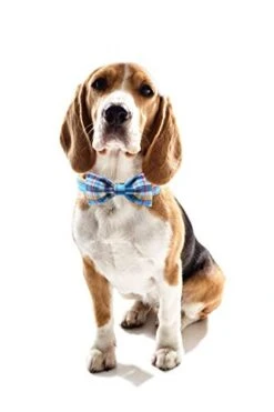 Unique Style Paws Plaid Dog Collar With Bow Pet Gift Adjustable Soft And Comfy Bowtie Collars For Small Medium Large Dogs -Zoo Shop 31q7PAWRBgL