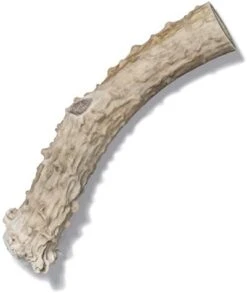 Antler Dog Chew From Pet Expertise, Gigantic 12-14" Long, 1 Piece 21 Antler Dog Chew From Pet Expertise, Gigantic 12-14" Long, 1 Piece -Zoo Shop 31qUvL0stXL. AC