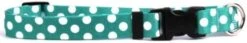 Yellow Dog Design Licorice Polka Dot Dog Collar 1" Wide And Fits Neck 18 To 28", Large -Zoo Shop 31tqjNf11PL. AC 1