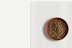 ExactMade - Clear Pet Bowl Mat, USA Made, Safe, Waterproof, 12 X 21 Inch, 2mm Thick Smooth Vinyl, Clear Dog Mat, Clear Pet Floor Protection, Clear Cage Mat, Clear Mat For Under Fish Tank -Zoo Shop 31uAYn6WoGL. AC