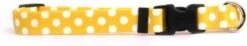 Yellow Dog Design Licorice Polka Dot Dog Collar 1" Wide And Fits Neck 18 To 28", Large -Zoo Shop 31v0HkA7RWL. AC