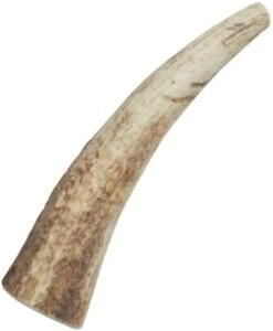 Health Extension Natural Elk Antlers For Dogs Chews, Long-Lasting Bone For Aggressive Chewers, Puppy Training Treat, Promote Healthier Dental Teeth And Gums, Small Whole Size -Zoo Shop 31vtdoz1XpL. AC