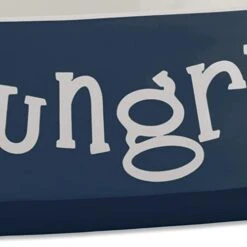 Bone Dry Hungry & Thirsty Pet Bowl, 6.75 X 6.75 X 2, Nautical Blue, 2 Piece -Zoo Shop 31x8lr4gDVL