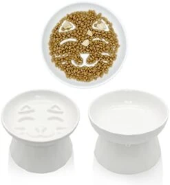 BNOSDM Ceramic Slow Feeder Cat Bowl Elevated Cat Slow Eating Dish Pet Dry/Wet Food And Water Bowl Set Cute Puzzle Plate For Indoor Small Dog Kitten Puppy, Set Of 2 15 BNOSDM Ceramic Slow Feeder Cat Bowl Elevated Cat Slow Eating Dish Pet Dry/Wet Food And Water Bowl Set Cute Puzzle Plate For Indoor Small Dog Kitten Puppy, Set Of 2 -Zoo Shop 41 Tq5Rw1L. AC