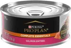 Purina Pro Plan Sensitive Skin And Sensitive Stomach Cat Food Wet Pate, Grain Free Chicken Entree - (24) 3 Oz. Cans -Zoo Shop 41 mRj1HTSL. AC