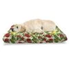 Lunarable Fruit Pet Bed, Repetitive Pattern Of Pear And Apple Branches With Leaves Blooming Organic Foods, Chew Resistant Pad For Dogs And Cats Cushion With Removable Cover, 24" X 39", Multicolor -Zoo Shop 4103WD8AQHL