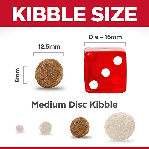 Hill's Science Diet Adult No Corn, Wheat Or Soy Dry Dog Food, Chicken Recipe, 4 Lb. Bag 8 Hill's Science Diet Adult No Corn, Wheat Or Soy Dry Dog Food, Chicken Recipe, 4 Lb. Bag - Image 6