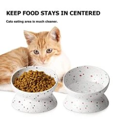 Y YHY Elevated Cat Bowls Anti-Vomiting, Tilted Raised Cat Bowl, Ceramic Cat Bowls For Flat Faced Cats, Small Dogs, Protect Pets Spine, Dishwasher And Microwave Safe -Zoo Shop 410TwBcUn5L