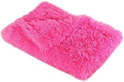 Slakkenreis Home Warm Pet Dog Blanket Cat Blanket Pet Plush Mat Solid Color Pet Mat Sky Blue One Size -Zoo Shop 410jCcPTFpL. AC